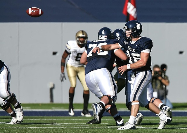 整体化的系 整体化的系