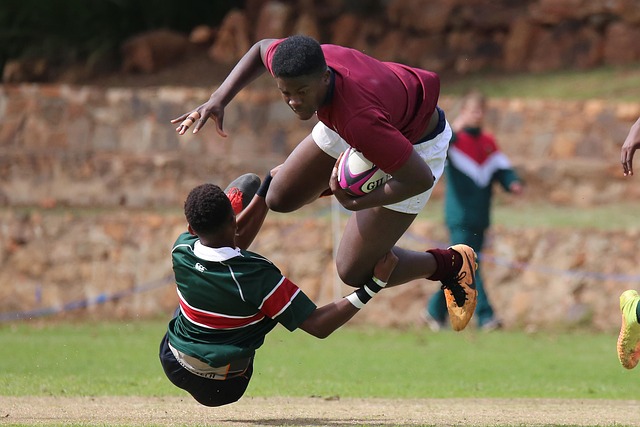 湖人的球队 湖人的球队