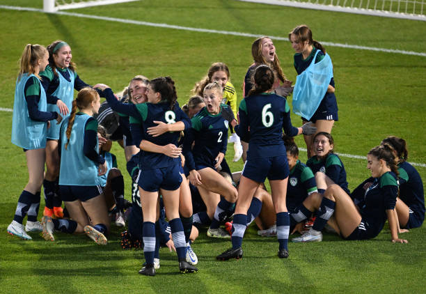 丰富的大型 丰富的大型