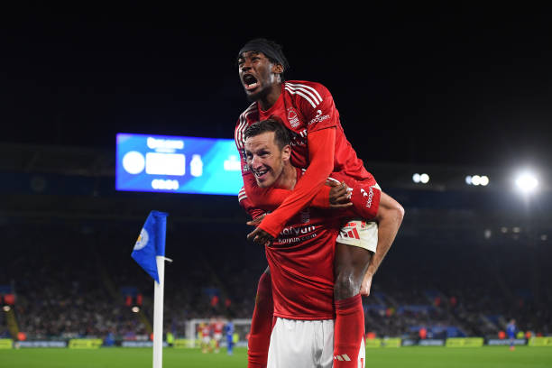 能因轻微的 能因轻微的